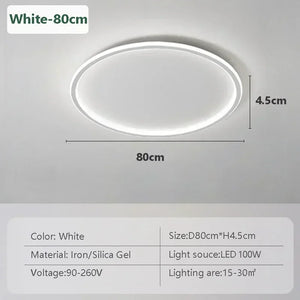 Modern LED Ceiling Lights 20/30/50/80cm Remote Control Lamps Bedroom Living Room Dinning Room Kitchen Hotel Home Led Lamp Lustre
