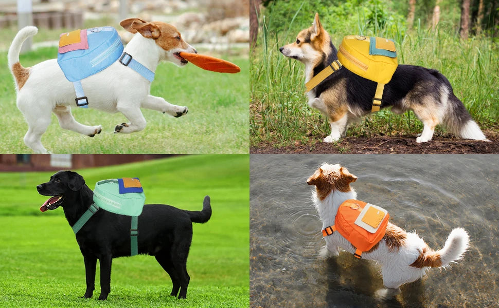Cat and Dog Backpack Pet Traction Backpack Outdoor Travel Adjustable Pet Backpack Shoulders Pet Outing Equipment Breathable