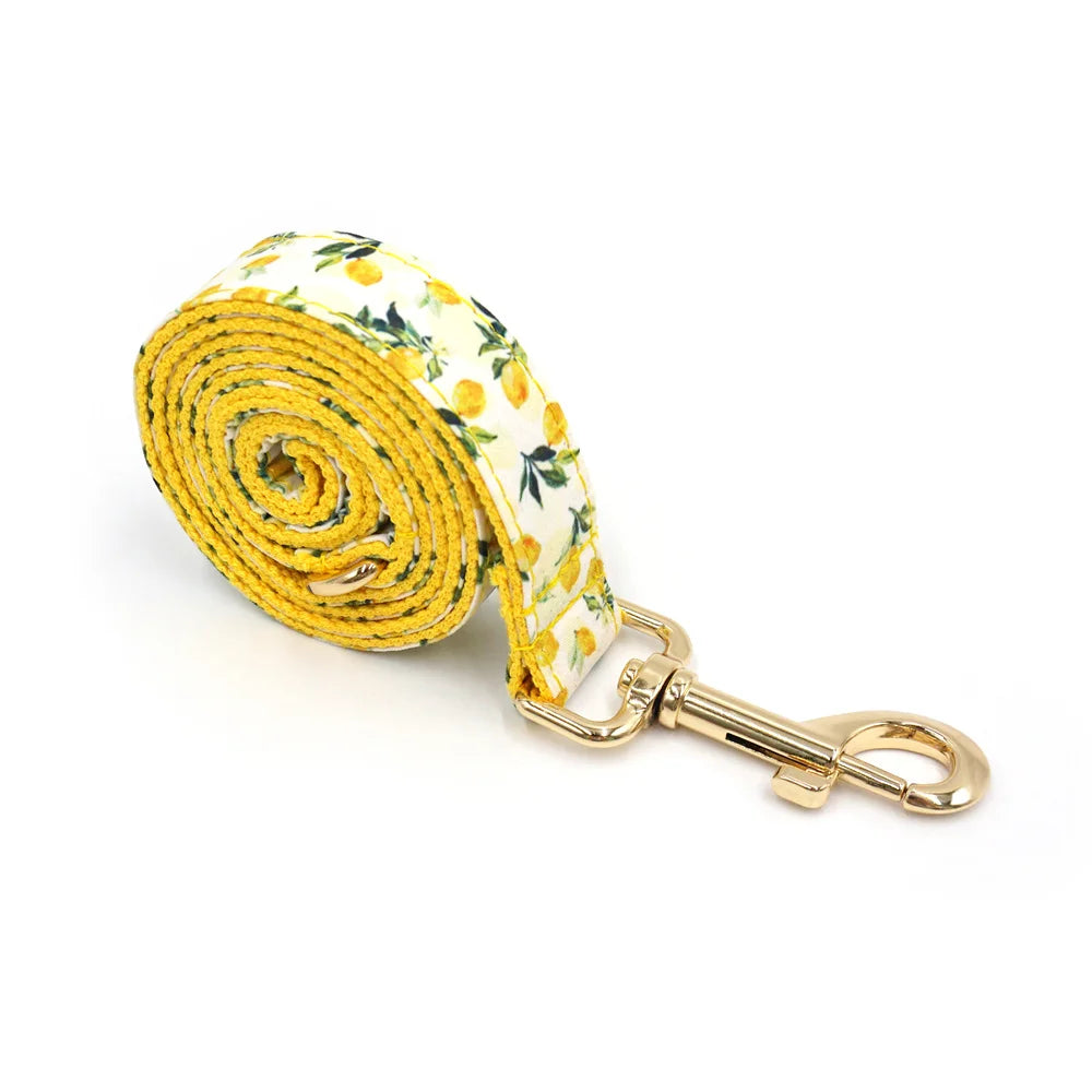 Personalized Pet Collar for Cats Small Medium Large Dogs Lemon Printing Luxury Designer Bow Dog Collar & Leash Set with Poop Bag