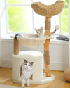 Modern Cat Tree for Large Cats, Wood Cat Tower for Indoor Cats, Real Branch Luxury Cat Furniture with Super Large Cozy Condo