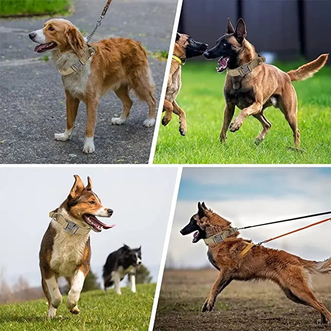Military Tactical Dog Collar Nylon Adjustable Durable German Shepherd for Medium Large Outdoor Walking Training Pet Supplies