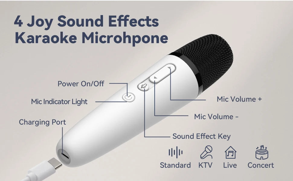 T1-Car Karaoke Microphone for Tesla Model Y/3/X/Cybertruck, Rechargeable Caraoke Mic with USB-A & USB-C Receiver, Plug to Use