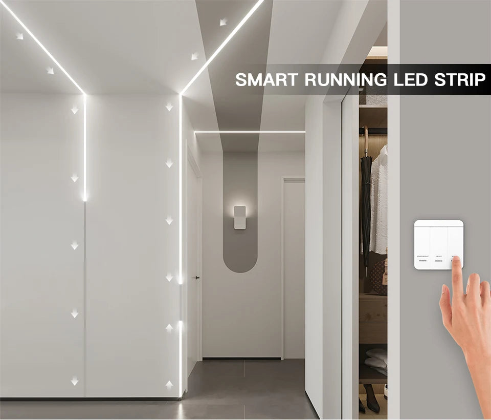 5M/10M Horse Race Running Led Strip Addressable DC24V WS281 120LED/M Dimmer LED Stair Controller Staircase Hallway Lighting Deco