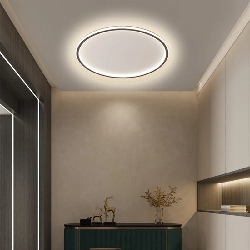 Modern LED Ceiling Lights 20/30/50/80cm Remote Control Lamps Bedroom Living Room Dinning Room Kitchen Hotel Home Led Lamp Lustre