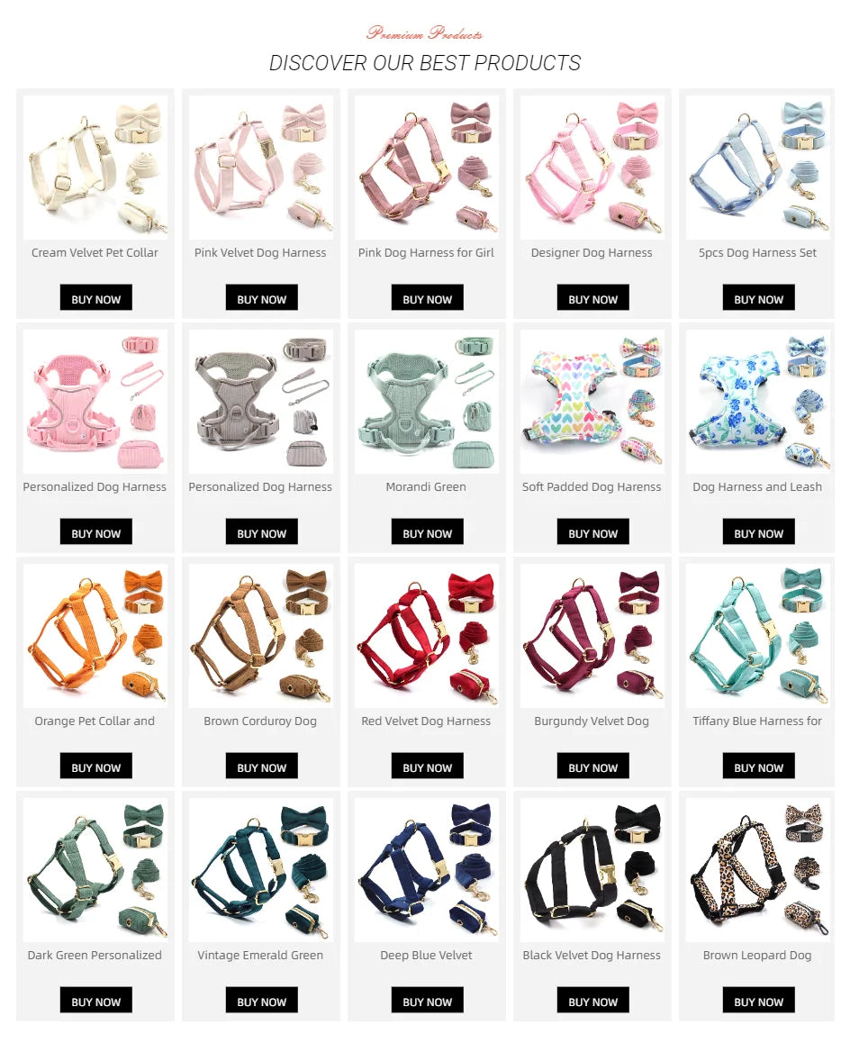 Personalized Pet Collar for Cats Small Medium Large Dogs Lemon Printing Luxury Designer Bow Dog Collar & Leash Set with Poop Bag