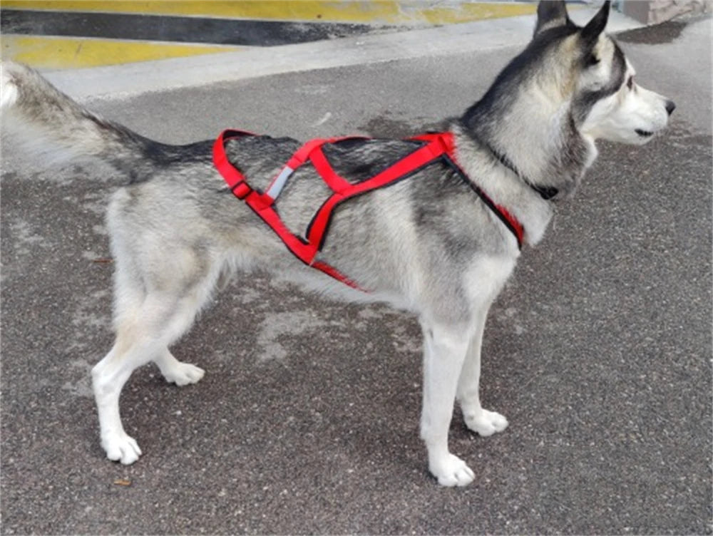 High Quality Big Dog Sledge Harness Skiing Running Pet Harnesses for Medium Large Dogs Alaska Hound Bulldog mascotas Accessories