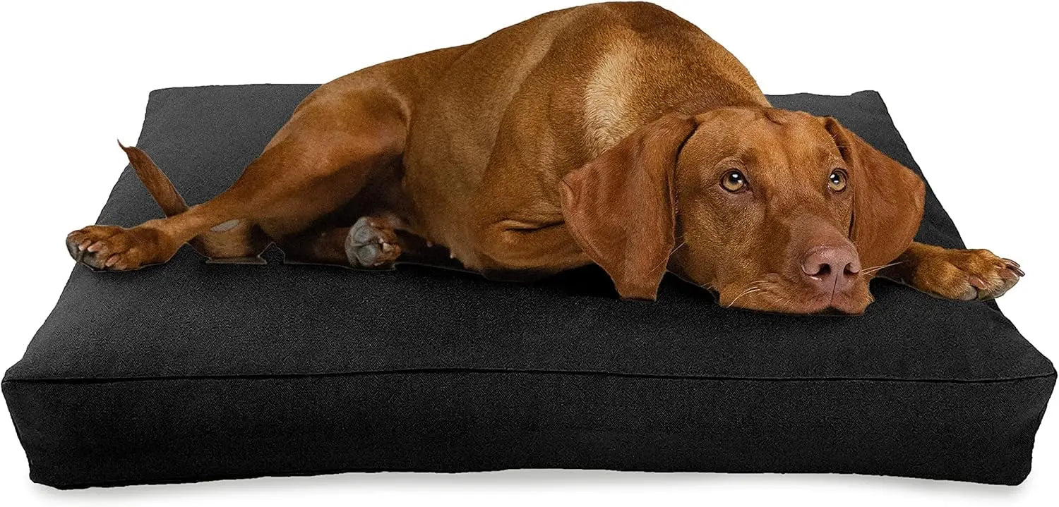X-Large - 48 x 30 x 5 Premium Organic Hemp Dog Bed Organic Latex Fill - Removeable Cover