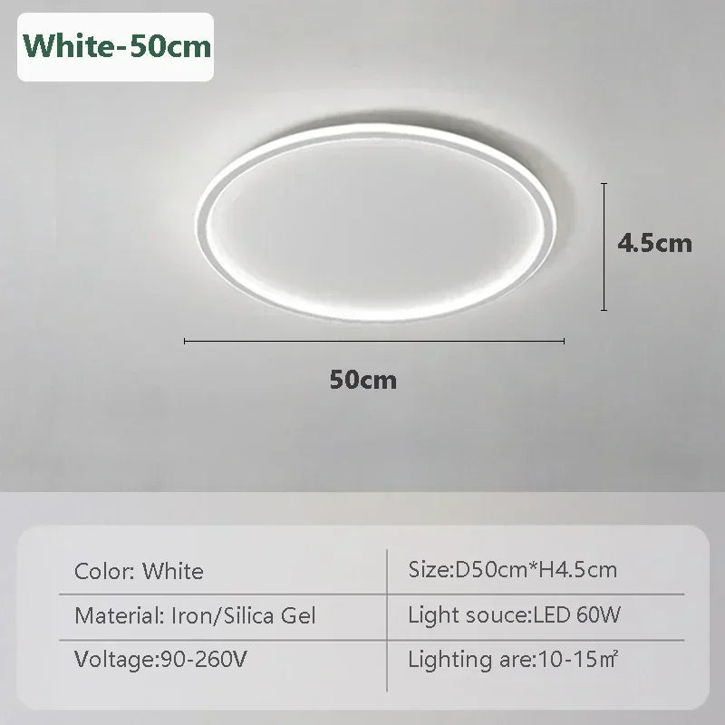 Modern LED Ceiling Lights 20/30/50/80cm Remote Control Lamps Bedroom Living Room Dinning Room Kitchen Hotel Home Led Lamp Lustre