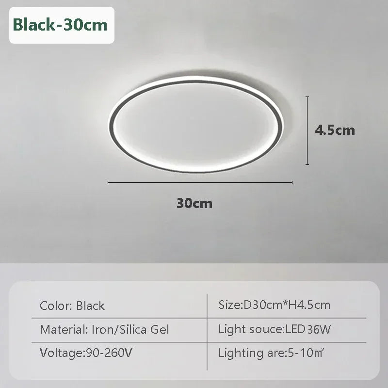 Modern LED Ceiling Lights 20/30/50/80cm Remote Control Lamps Bedroom Living Room Dinning Room Kitchen Hotel Home Led Lamp Lustre