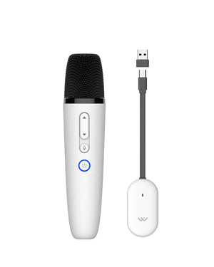 T1-Car Karaoke Microphone for Tesla Model Y/3/X/Cybertruck, Rechargeable Caraoke Mic with USB-A & USB-C Receiver, Plug to Use