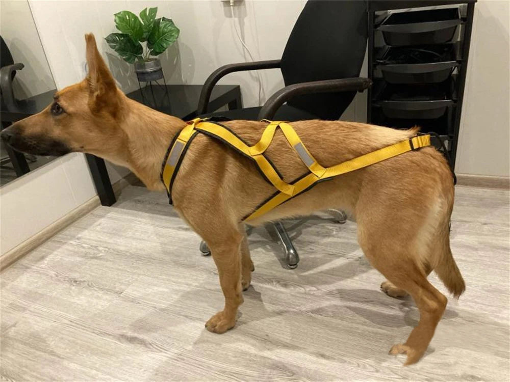 High Quality Big Dog Sledge Harness Skiing Running Pet Harnesses for Medium Large Dogs Alaska Hound Bulldog mascotas Accessories