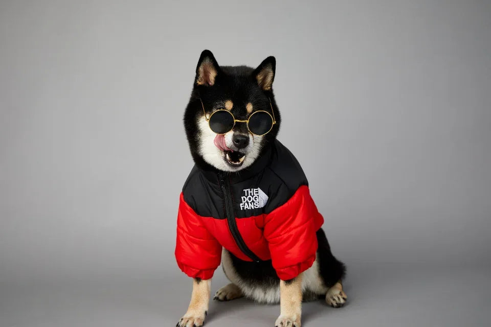 Puppy Coat Dog Down Jacket The Dog Fans Winter Pet Clothes for Small Medium Dogs Warm Thick Dog Vest French Bulldog