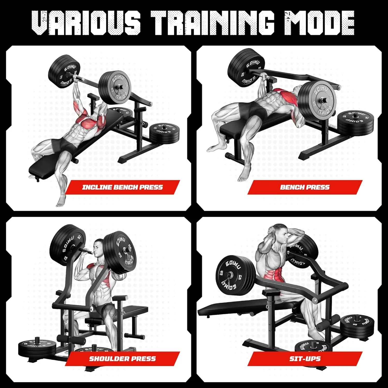 Chest Press Machine Weight Bench Press Machine with Independent Converging Arms Adjustable Flat Incline Bench Press for Chest AB