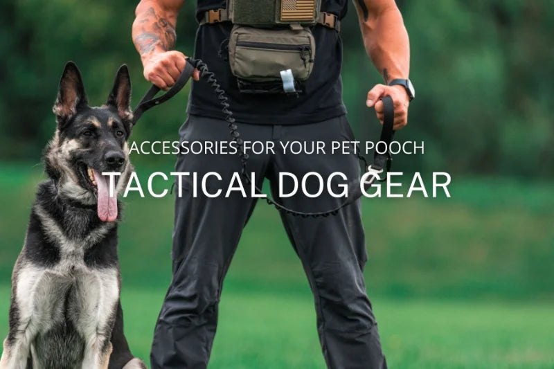 Military Tactical Dog Collar Nylon Adjustable Durable German Shepherd for Medium Large Outdoor Walking Training Pet Supplies