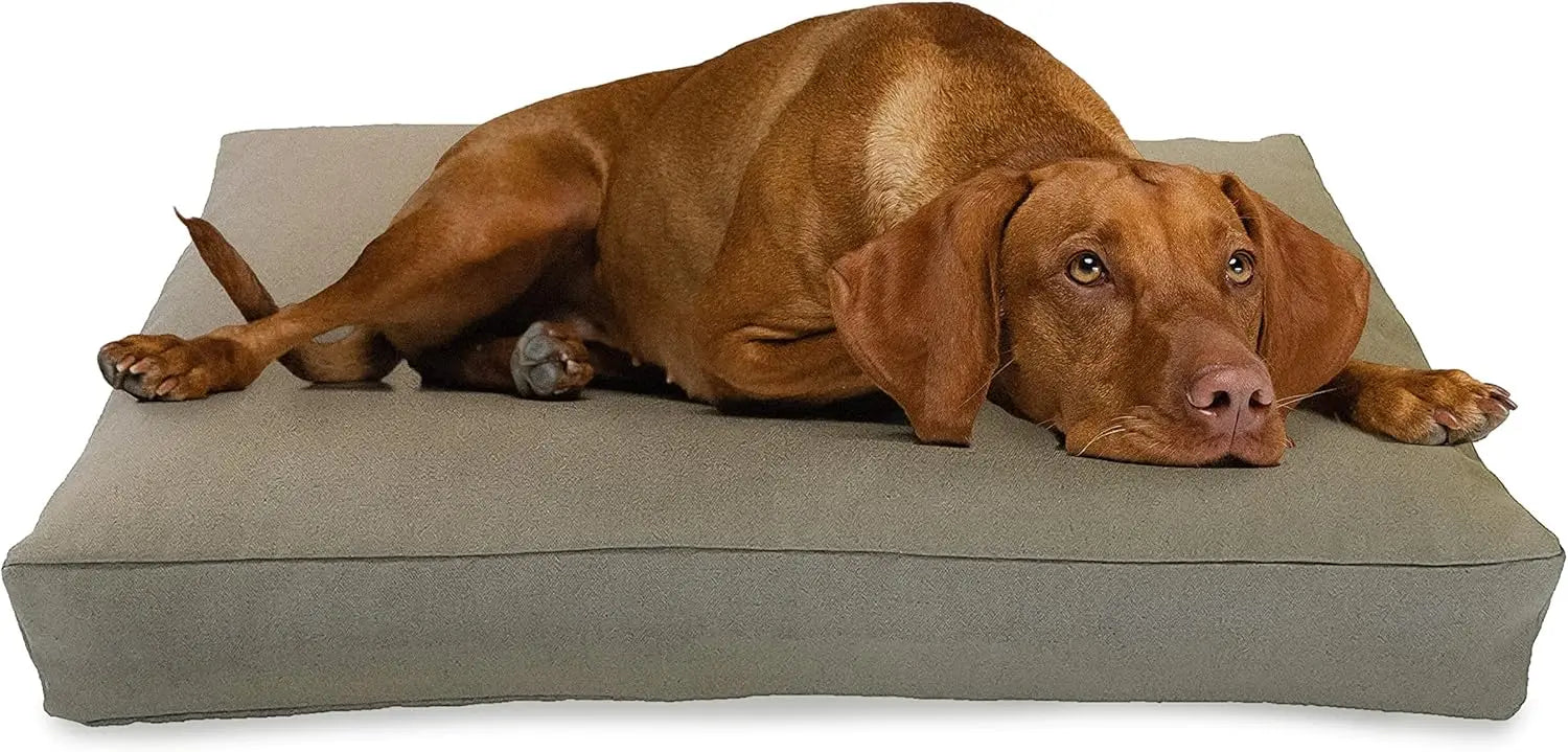 X-Large - 48 x 30 x 5 Premium Organic Hemp Dog Bed Organic Latex Fill - Removeable Cover