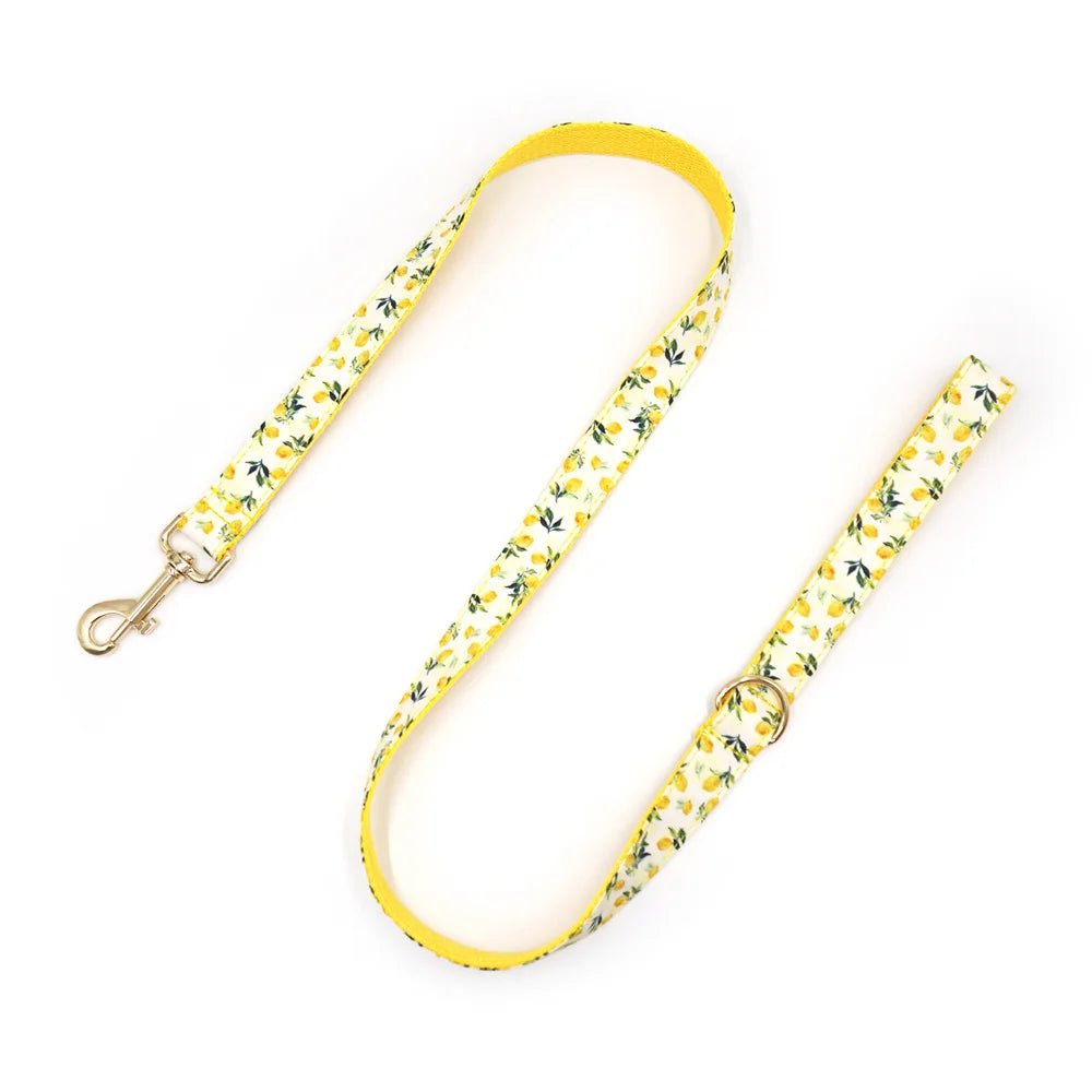 Personalized Pet Collar for Cats Small Medium Large Dogs Lemon Printing Luxury Designer Bow Dog Collar & Leash Set with Poop Bag