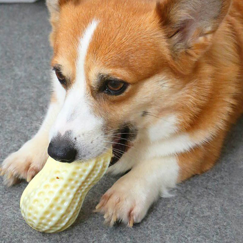 Funny Pet Dog Squeaky Toys For Small Middle Dogs Bite Resistant Puppy Cat Dogs Toys Pets Rubber Peanut Clean Tooth Chew Toy - You Offer