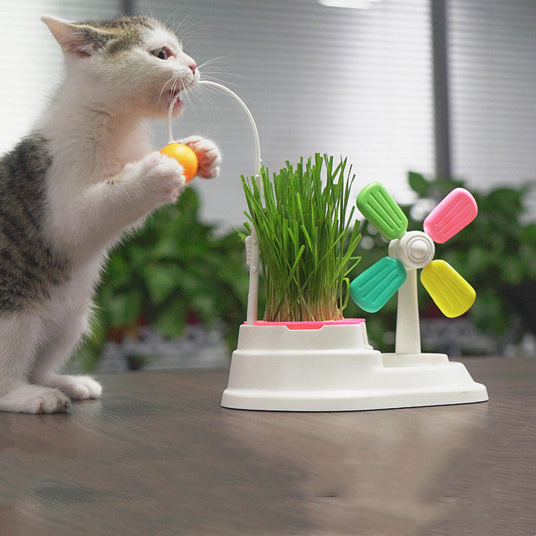 Windmill Funny Cat Stick Toy Desktop Grass Box Pet Toys - You Offer
